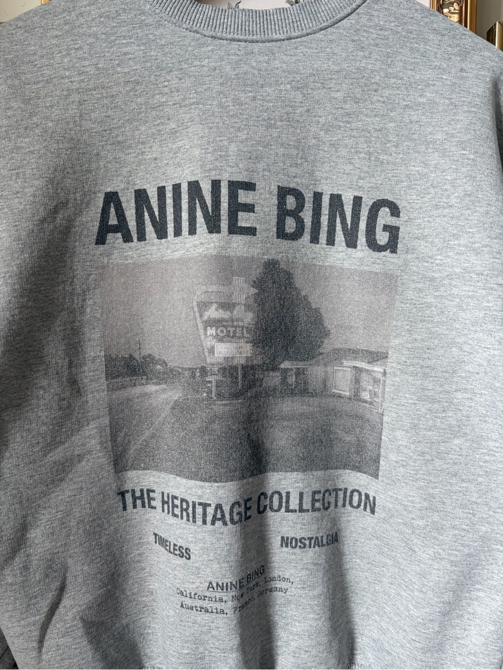 Anine Bing Kenny Sweatshirt Motel Small - Picture 6 of 12